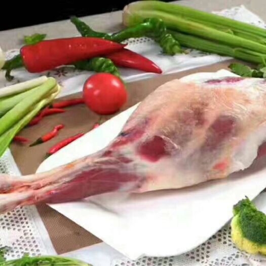 银川羊腿肉 盐池滩羊羊腿