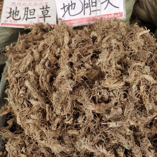 玉林地胆草 地胆头