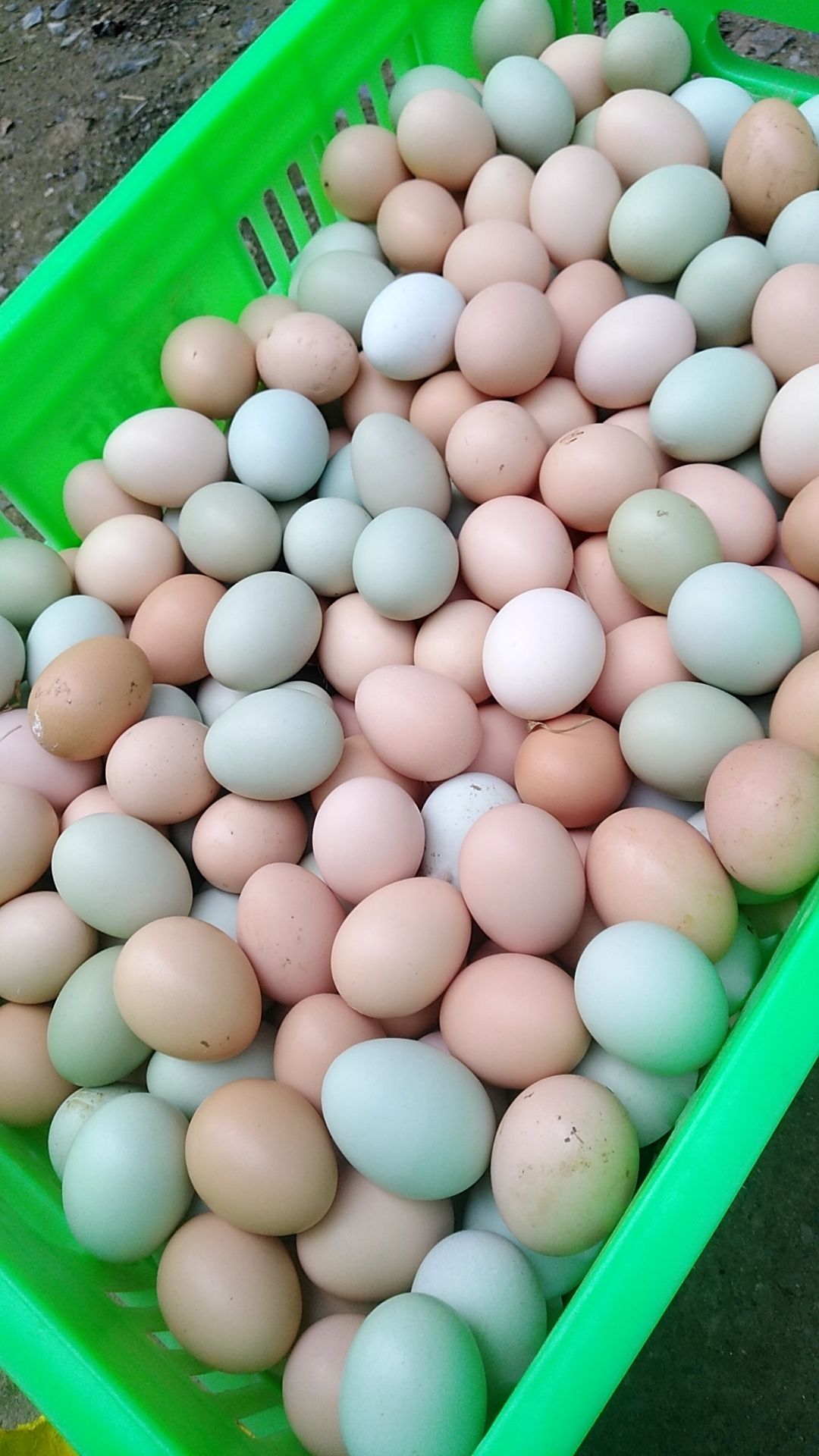 随县山鸡蛋  山林散养土鸡蛋混装，12-13个左右一斤！