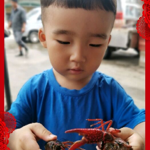 洪湖市精品小龙虾，超市
