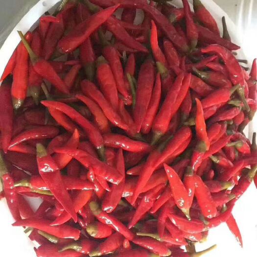 重庆市厂家直销  所有泡椒泡菜系列