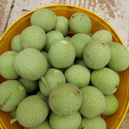 赞皇县青皮核桃产地 鲜核桃批发  湿核桃批发厂家