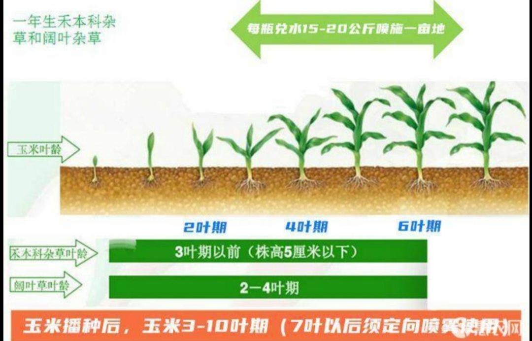 28%硝磺草酮烟嘧磺隆莠去津,玉米苗后安全型封杀除草剂