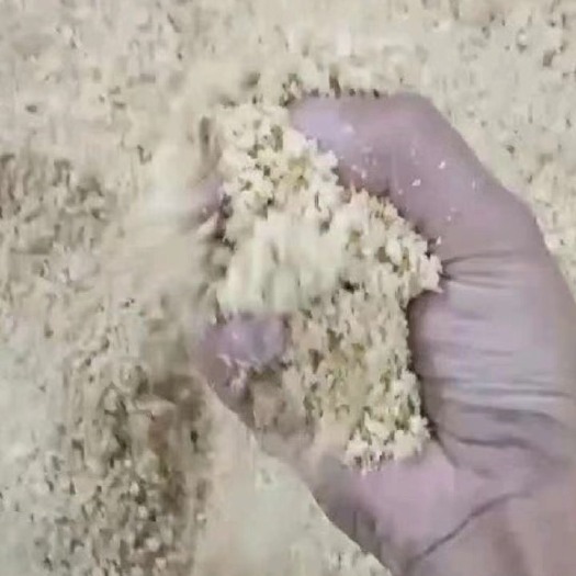 桂平市 新鲜豆腐渣，发酵好的豆腐渣。大量现货出售。