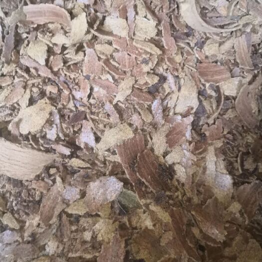 巴中 油枯