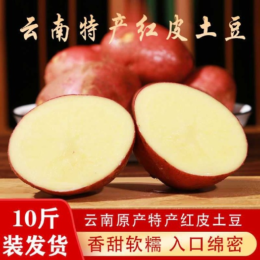 云南昆明新鲜青薯9号土豆红皮马铃薯洋芋官渡区直发高品质代发