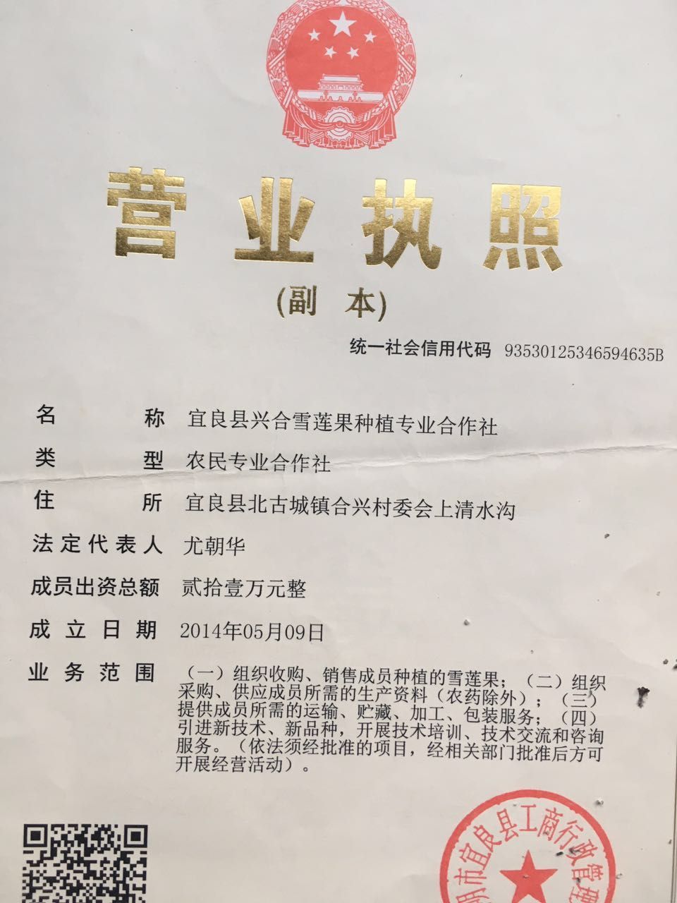 雪莲果25年7月10日新果上巿场批发：电商，微商一件代发