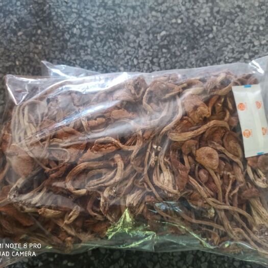 东莞市福建干货茶树菇