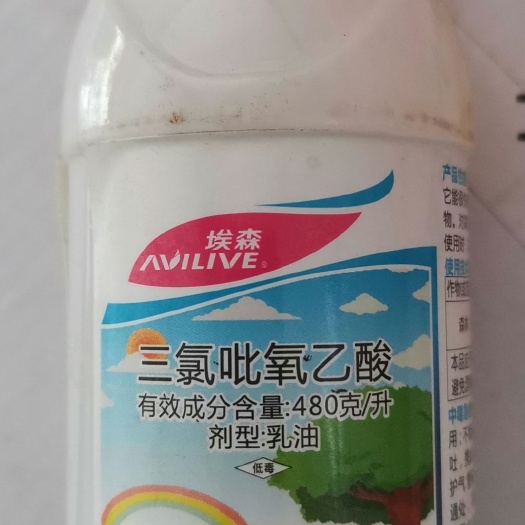 郑州48%三氯吡氧乙酸100ml除阔叶杂草除草剂