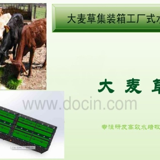 北京无土栽培设备 牧草工厂