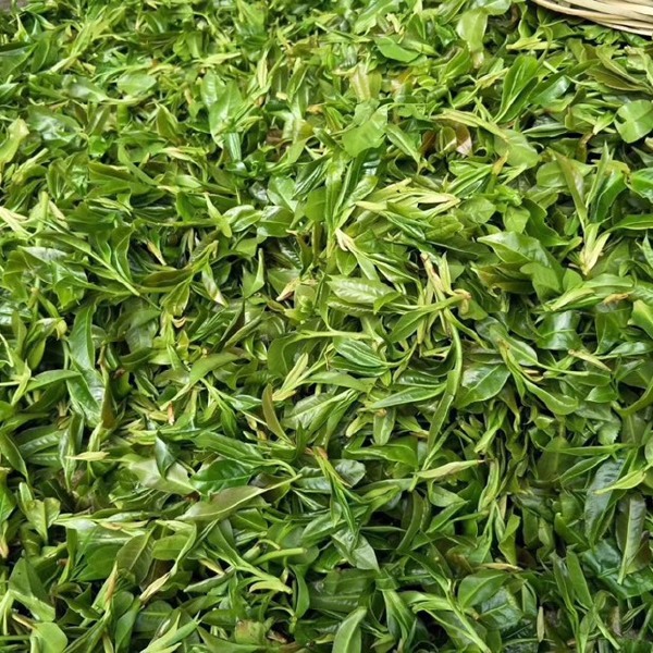 野生红茶 一山一茶一文化，合壹茶，品出你的人生