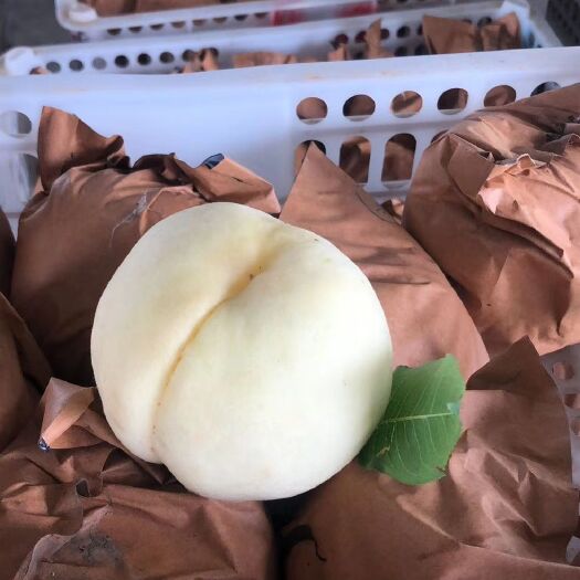 新沂市新沂水蜜桃 新鲜白凤口感好