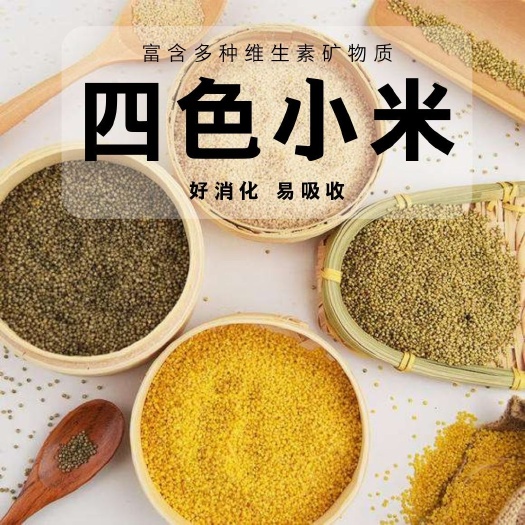 黄小米  四色小米天然养胃小米粥5斤装包邮