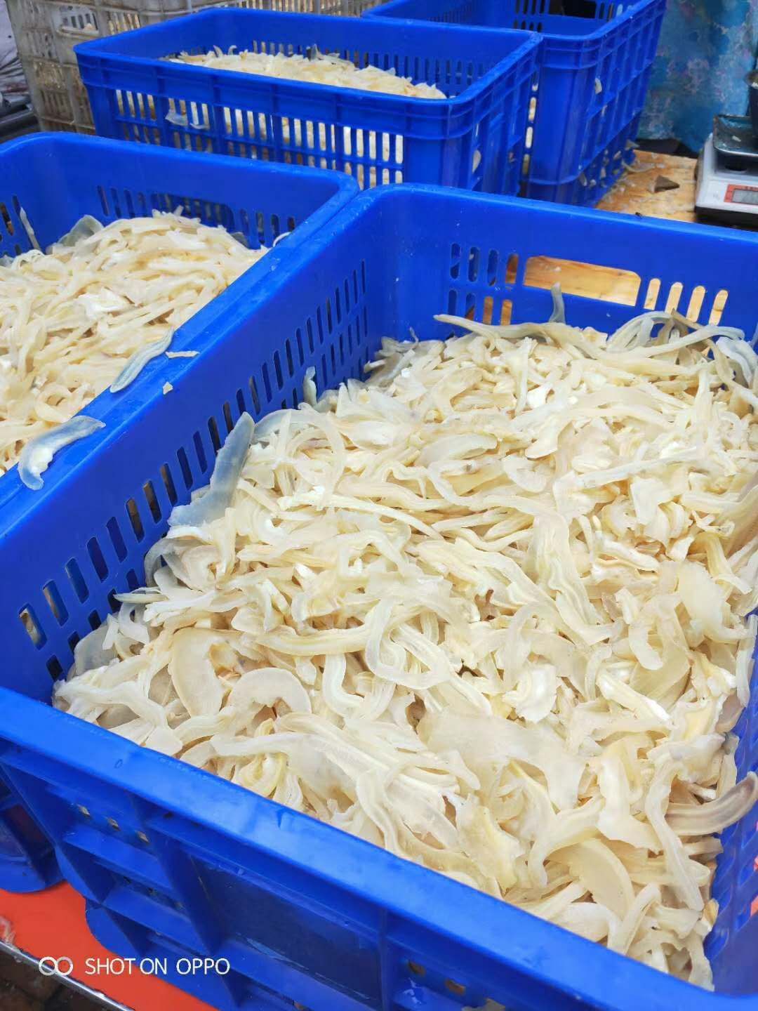 牛耳 耳丝，耳片都有。保质保量，厂家直销