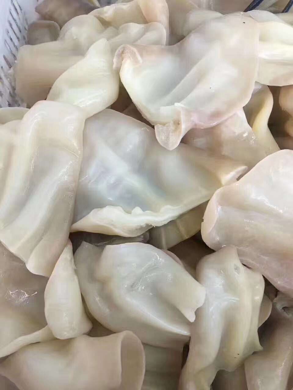 牛耳 耳丝，耳片都有。保质保量，厂家直销