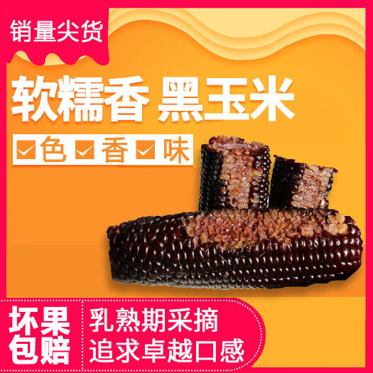 忻州 厂家直批真空包装黑黄甜糯玉米批发