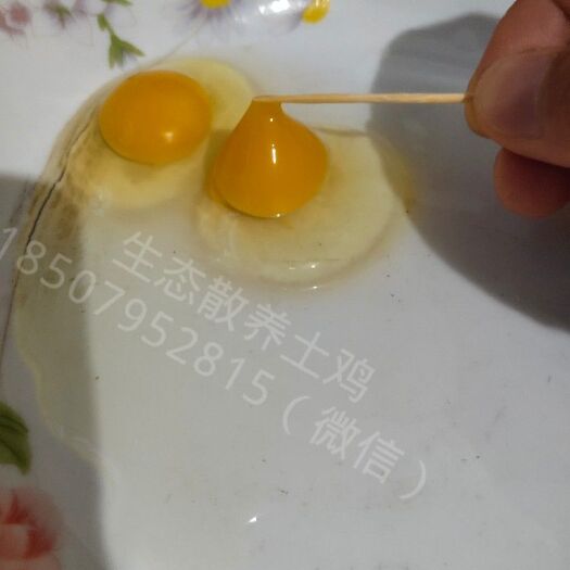 宜春生态散养土鸡蛋