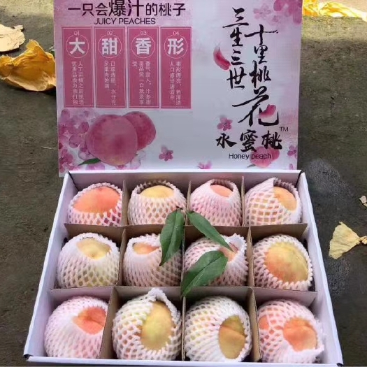 新昌县 阳山水蜜桃