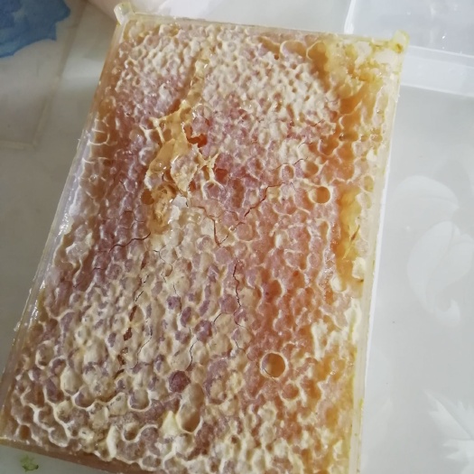 滨州蜂巢蜜