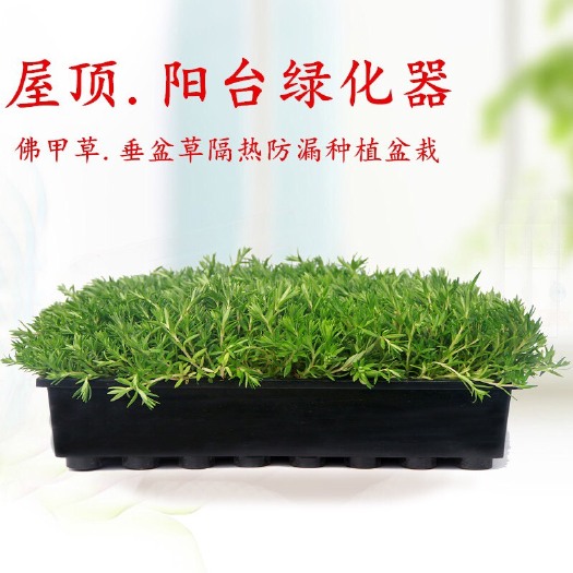 禹州市塑料筐 中国最硬的塑料黑筐！良心卖家550*336*90