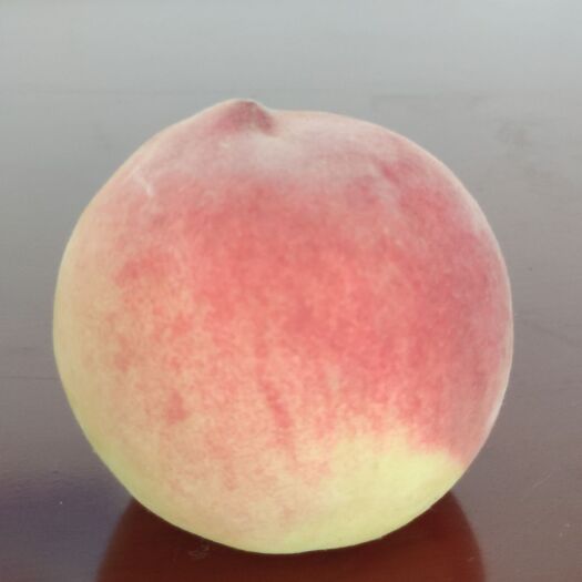 萧县翠玉梨 桃子新鲜水果10斤