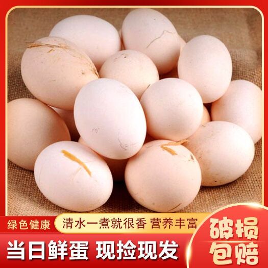 濮阳鸡蛋 正宗黄河滩区农家散养土鸡蛋 草鸡蛋新鲜柴鸡蛋现捡现发