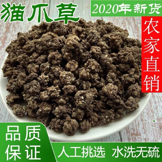 安国市猫爪草！无硫新货！干净。   实拍图！包邮到家！