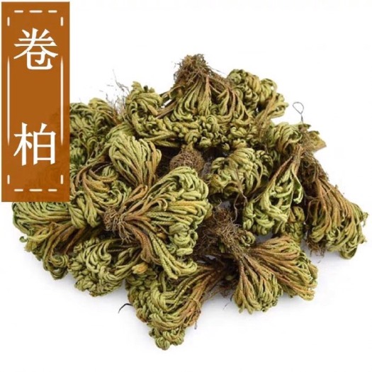 安国市 卷柏  还魂草，正品！无硫新货！干净无杂质！实拍图！品质保