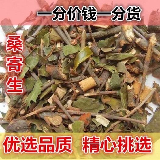  桑寄生，正品！无硫新货！干净无杂质！实拍图！品质保
