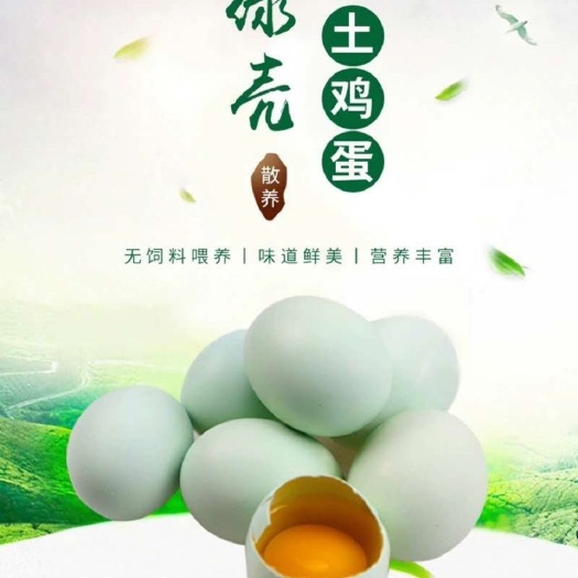 绿壳蛋  自家散养绿壳土鸡蛋,可食用可孵化,承诺每天都是新鲜种蛋