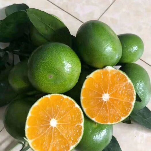 崇左特早蜜桔