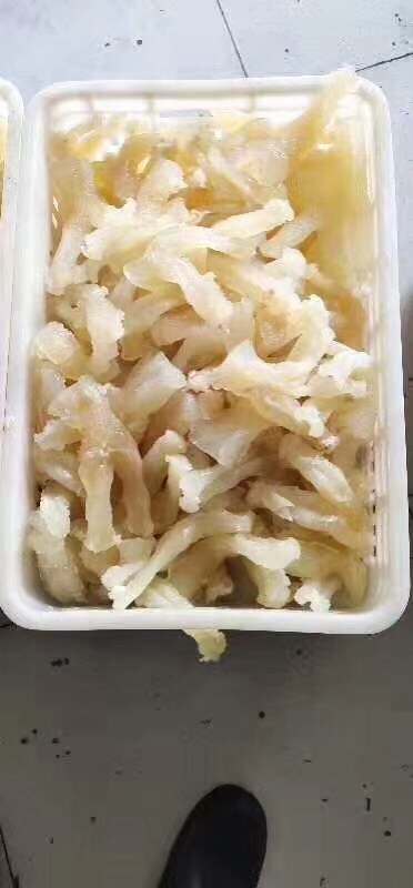 牛蹄筋大量供货
