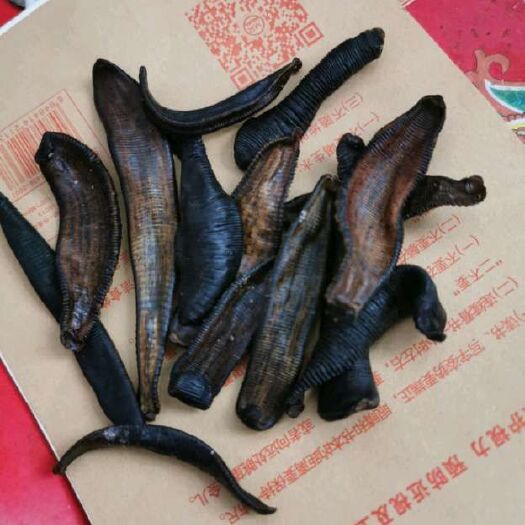 干水蛭，水蛭干，干蚂蟥，清水吊干蚂蟥，宽体金线蛭