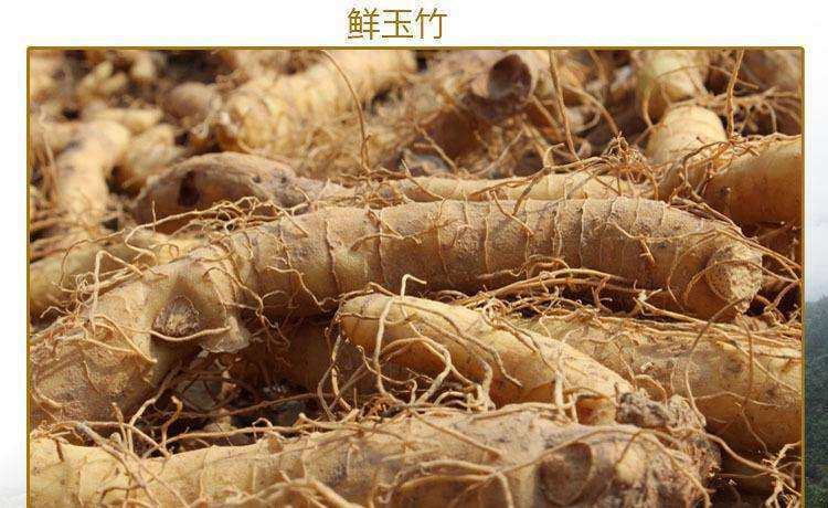 慈利县湘玉竹 大量种植