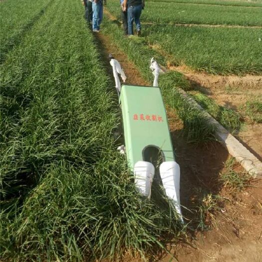 禹城市 韭菜收割机收获机茴香蒲公英整齐铺放手推电动收割机