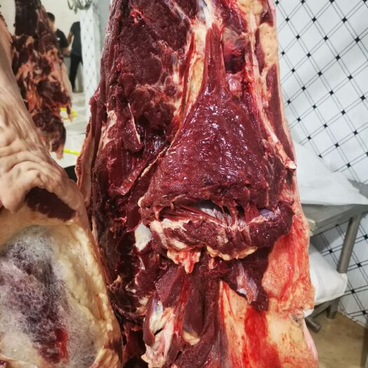 宁津县生鲜带皮鲜马肉，带皮马肉，不注水纯干货！