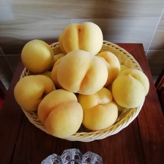 长沙县 黄桃