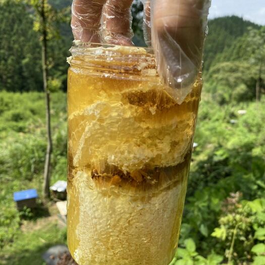 赣州真正的土蜂蜜，一年只取一次！