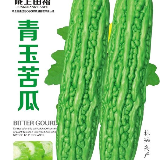 酒泉绿苦瓜种子 青玉苦瓜
