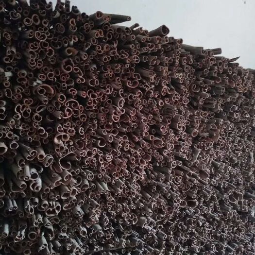 平南县 广西六陈特级桂皮