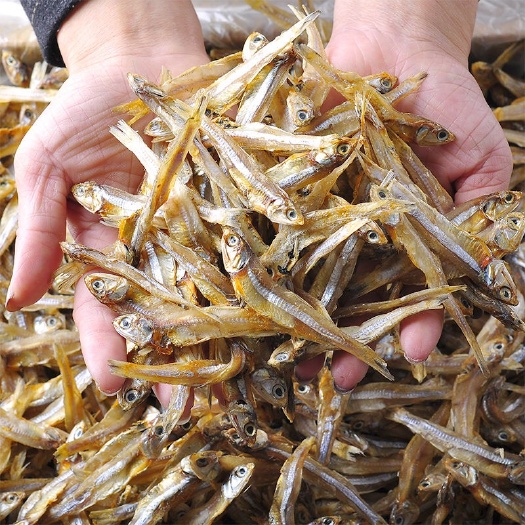乐清市炮弹鱼 小鱼干 淡干 美味佳肴