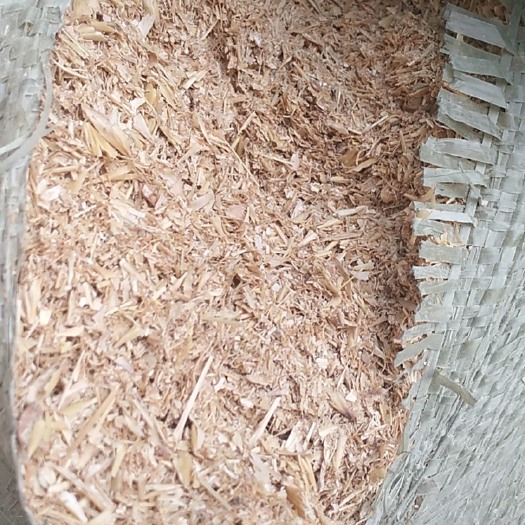 正定县糠麸饲料 麦芽根，蛋白18