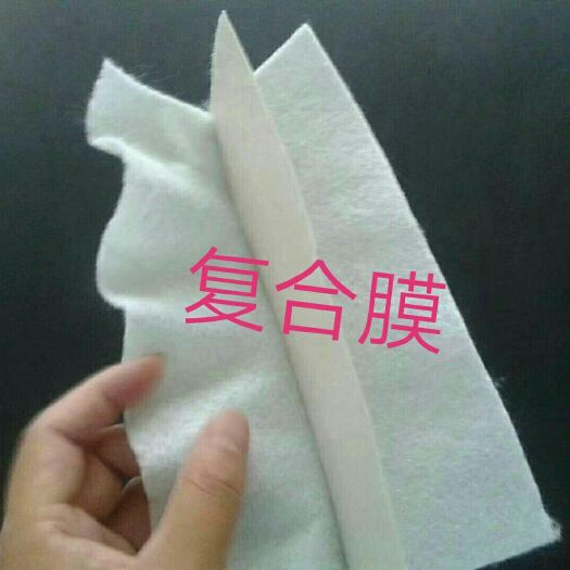 德州 复合土工膜