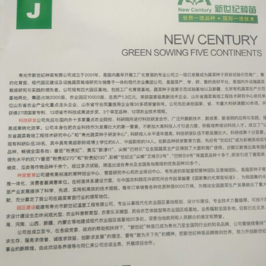寿光市绿皮西葫芦种子