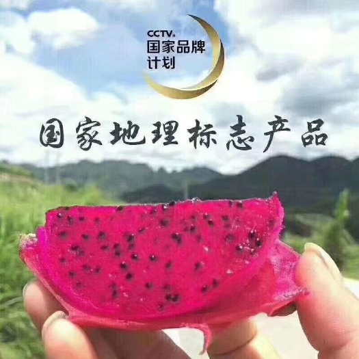 罗甸县 罗甸红心火龙果香甜多汁