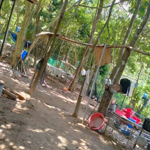 三亚海南省三亚市天涯区，山地养殖地，改种