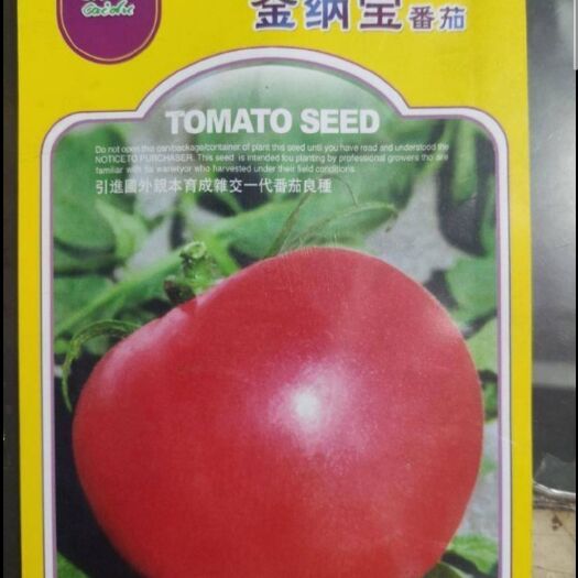 郑州 粉果番茄种子，金纳宝粉果品种！