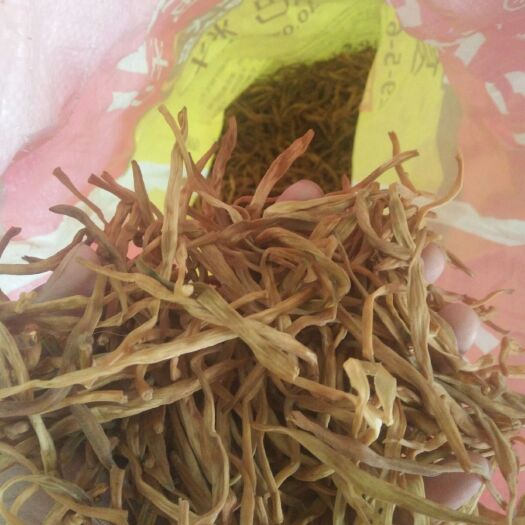 渭南 老丈人沙地黄花菜