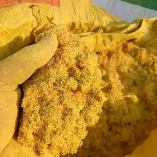 南阳 蒲黄供应