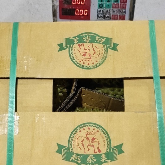 南宁泰国金枕榴莲 4 - 5公斤